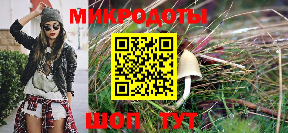 Псилоцибиновые грибы мицелий Кумертау